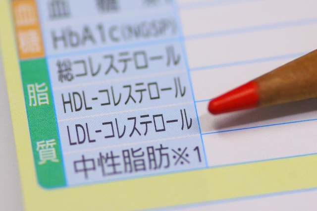 脂質異常症（高脂血症）とは